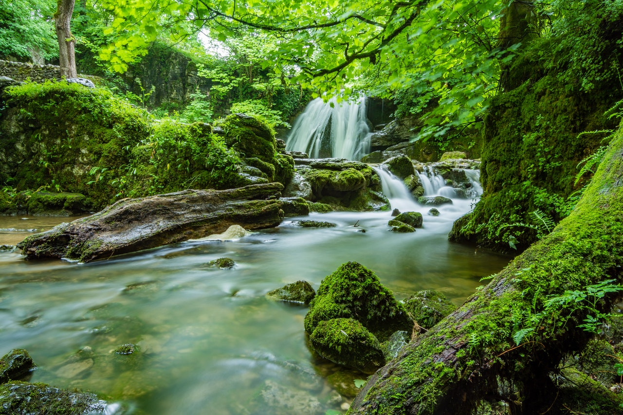 Natural flow Qigong